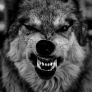 User Grey