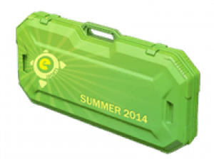 ESports 2014 Summer
