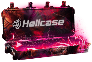 300kk Case