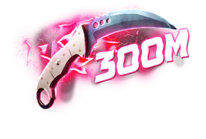 300kk Case